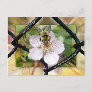 Gesegnet ist er, der auf den LORD vertraut Postkarte