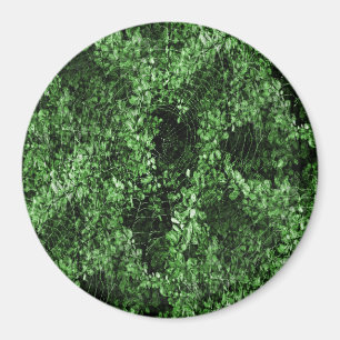 Gesegneter Morgen der Spinnen... Magnet