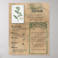 Gesegnetes Thistle Kräuterbuch Schatten Pagan Wicc