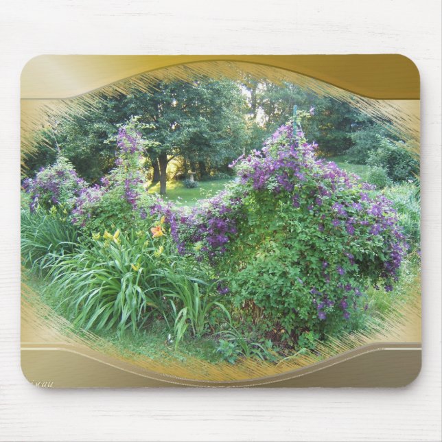 Gesenktes Clematis ~ mousepad (Vorne)