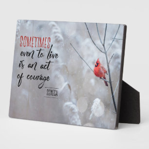 Gesetz des Mutes Fotoplatte