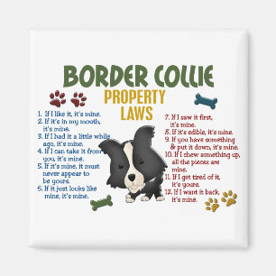 Gesetz über die Border Collie Property 4 Magnet