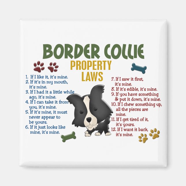 Gesetz über die Border Collie Property 4 Magnet (Vorne)