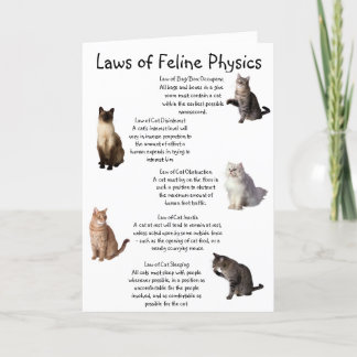 "Gesetze der Felinischen Physik" Karte