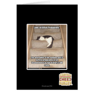 Gesetze von Kitteh Wahrscheinlichkeit