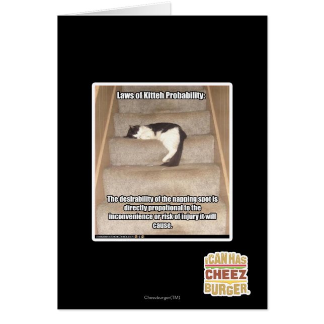 Gesetze von Kitteh Wahrscheinlichkeit (Vorne)