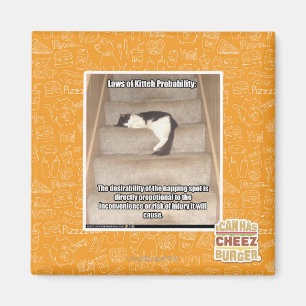 Gesetze von Kitteh Wahrscheinlichkeit Magnet