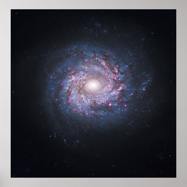 Gesicht auf Spiralgalaxie NGC 3982 vom Hubble Poster (Vorne)