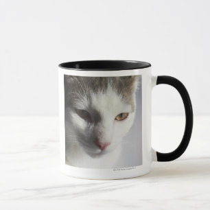 Gesicht einer Katze Tasse