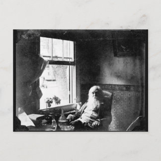 Gesicht immer zum Sonnenschein: Whitman in Mickle Postkarte