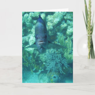 Gesicht-zu-Fische Karte