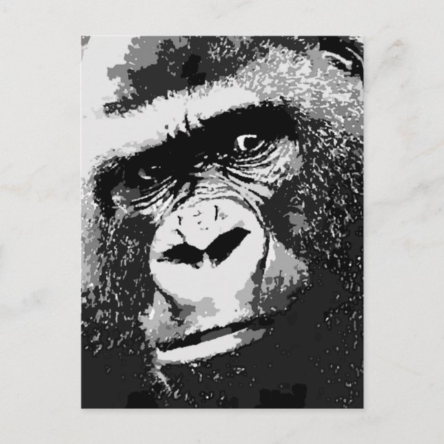 Gesichter des Gorillas Postkarte (Vorderseite)