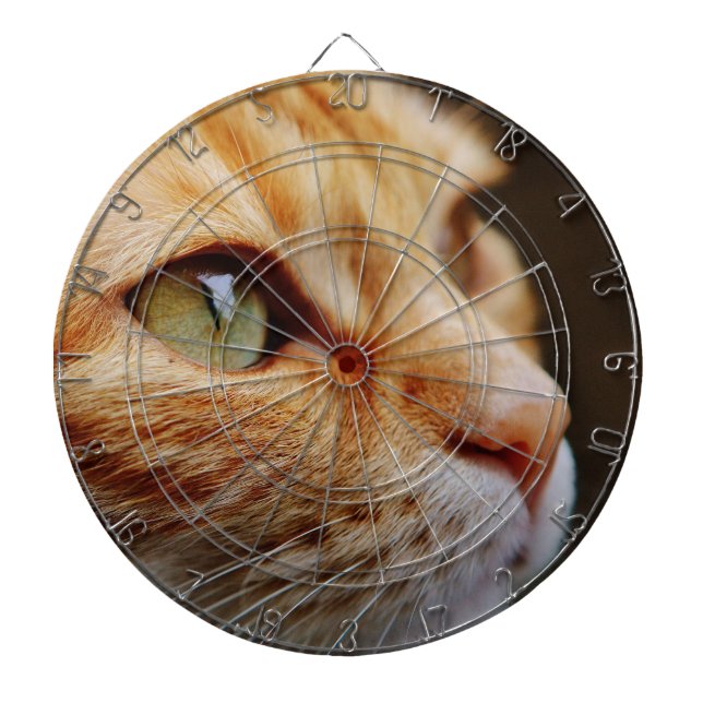 Gesichts einer Ingwerkatze bestimmt Dartscheibe (vorne)