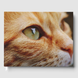 Gesichts einer Ingwerkatze bestimmt Gästebuch