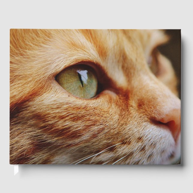 Gesichts einer Ingwerkatze bestimmt Gästebuch (Vorderseite)