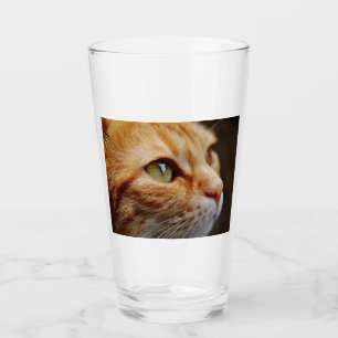 Gesichts einer Ingwerkatze bestimmt Glas