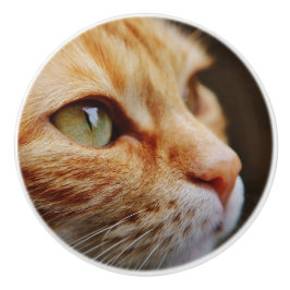 Gesichts einer Ingwerkatze bestimmt Keramikknauf