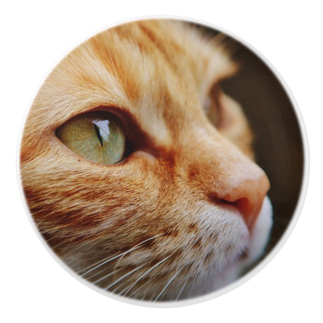 Gesichts einer Ingwerkatze bestimmt Keramikknauf (Vorderseite)