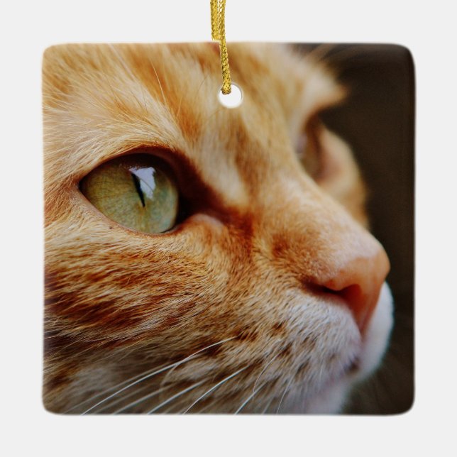 Gesichts einer Ingwerkatze bestimmt Keramikornament (Vorderseite)