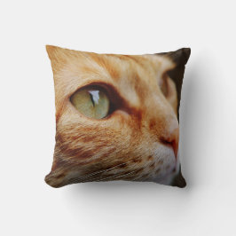 Gesichts einer Ingwerkatze bestimmt Kissen