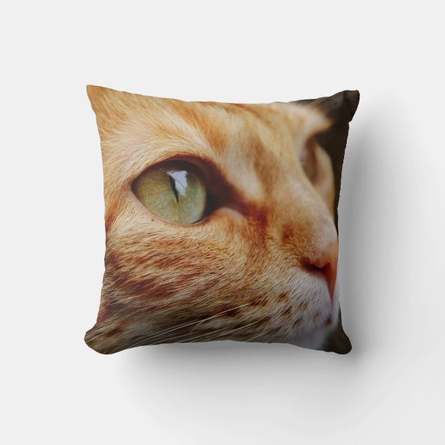 Gesichts einer Ingwerkatze bestimmt Kissen (Vorderseite)