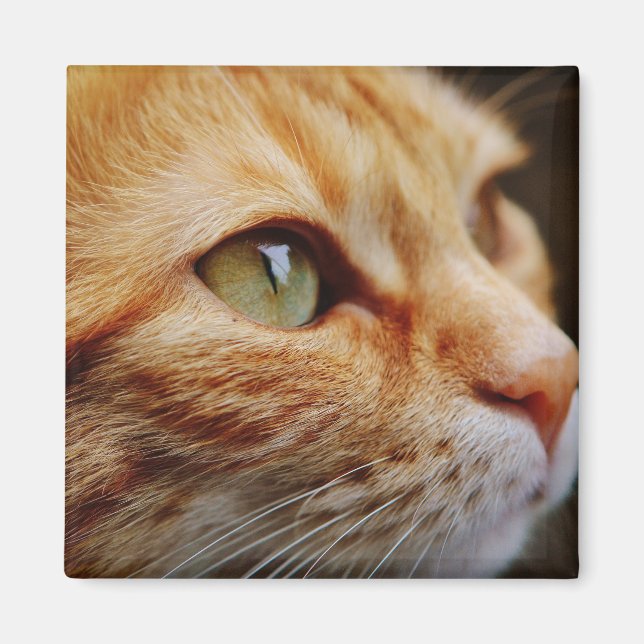 Gesichts einer Ingwerkatze bestimmt Magnet (Vorne)