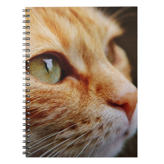 Gesichts einer Ingwerkatze bestimmt Notizblock (Vorderseite)