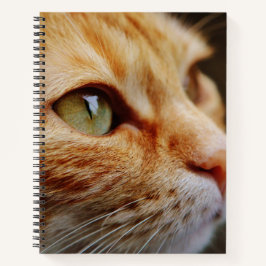 Gesichts einer Ingwerkatze bestimmt Notizbuch