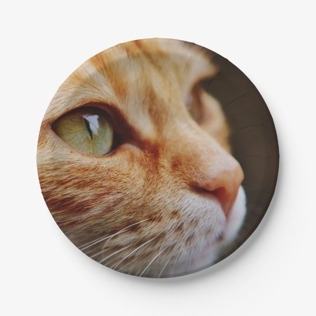 Gesichts einer Ingwerkatze bestimmt Pappteller (Vorderseite)