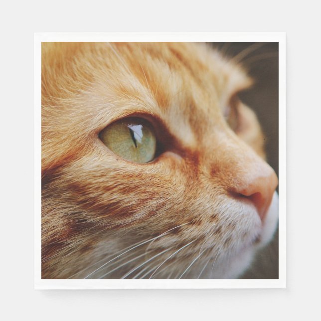 Gesichts einer Ingwerkatze bestimmt Serviette (Vorderseite)