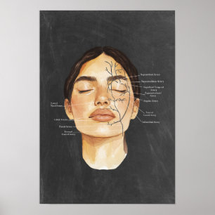 Gesichtsanatomie Blutgefäße Anatomische Kunst Poster