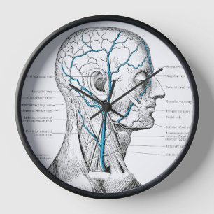 Gesichtsvenen Muskeln Vintage Anatomie Uhr