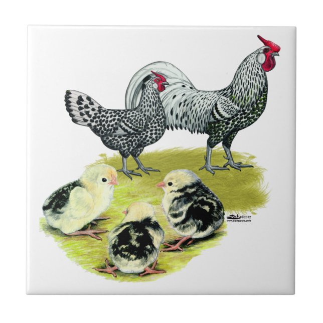 Gespannte Hamburger Familie Fliese (Vorderseite)