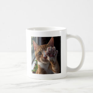 Gespräch zur Tatze Tasse