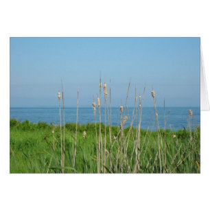 Gespräche durch das Meer