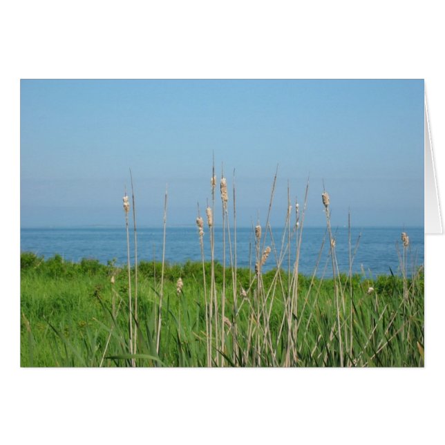 Gespräche durch das Meer (Vorderseite (Horizontal))