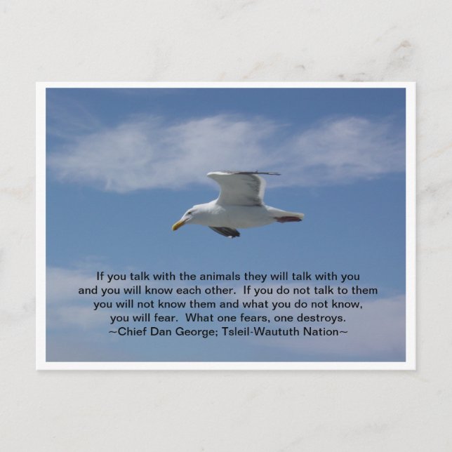 Gespräche mit den Tieren Postkarte (Vorderseite)
