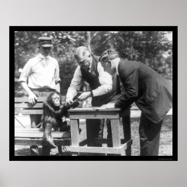 Gespräche mit Orangutan 1920 Poster (Vorne)