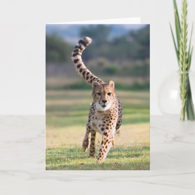 Gesprintete Karte (Vorderseite)