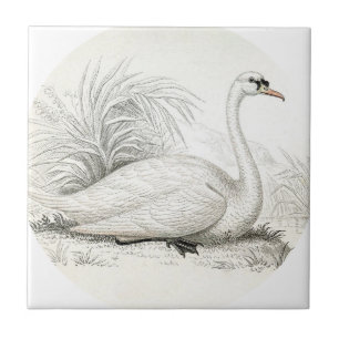 Gestalten Sie atemberaubende Vintage-Kunst shabbyc Fliese