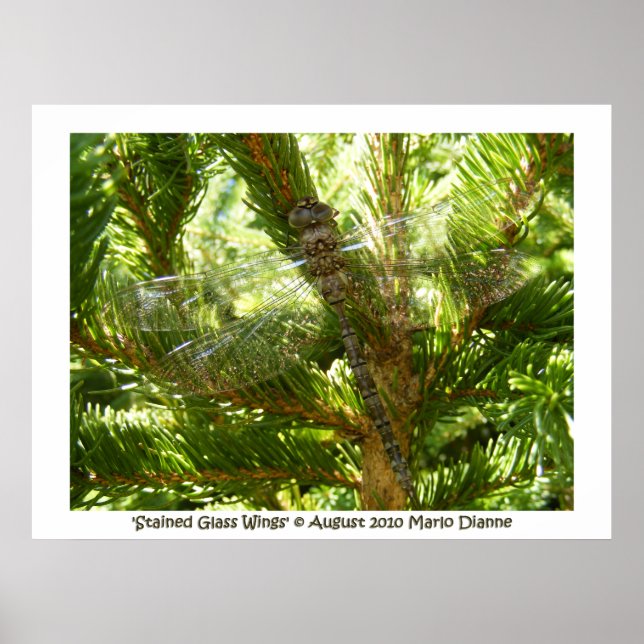 'Gestaltete Glasscheiben' Poster (Vorne)