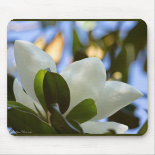 Gestaltetes Glas Sky Süd Magnolia Geschenke Appare Mousepad