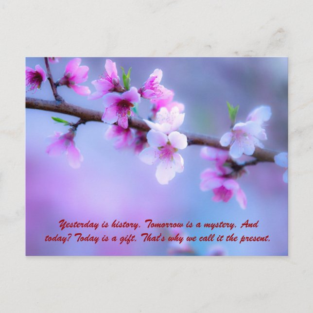 Gestern ist Geschichte. Morgen ist ein Rätsel. und Postkarte (Vorderseite)