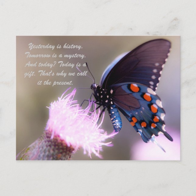 Gestern ist Geschichte. Morgen ist ein Rätsel. und Postkarte (Vorderseite)