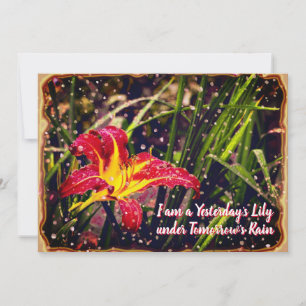 Gestern Lily in Tomorrow Rain Postcard Feiertagskarte