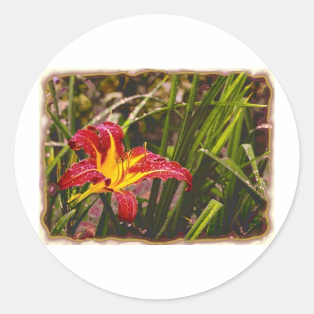 Gestern Lily nach dem Regen Runder Aufkleber (Vorderseite)