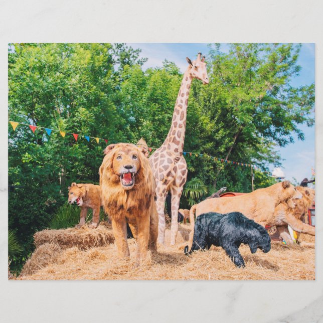 Gestopfte Tiere Flyer (Vorne)