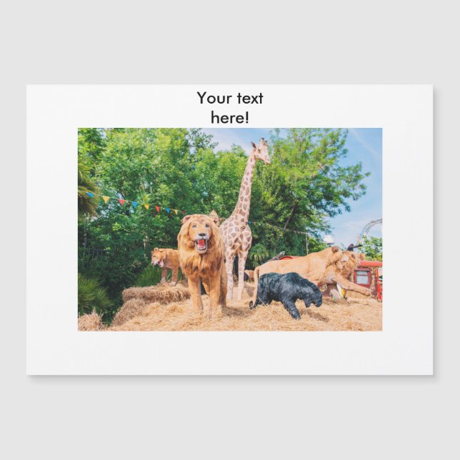 Gestopfte Tiere Magnetkarte (Vorderseite)