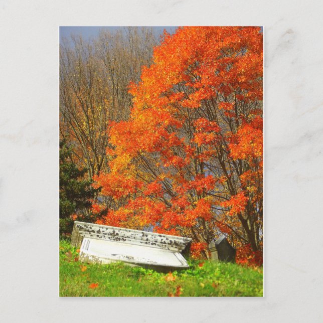 gestorben postkarte (Vorderseite)