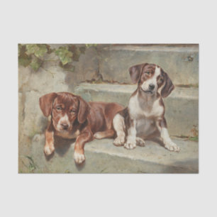 Gestorte Siesta von Carl Reichert Seidenpapier